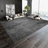 Nordic Living Room Large Area Carpets Home Decoration Bedroom Bed Blanket Casual Rugs Sofa Tea Table Carpet Area Carpet 2