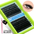 15 Rows-BLUE05