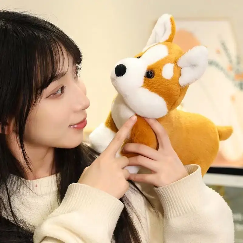 Sc82f2c1988f646f19480d1132df9bf86g - Corgi Gifts