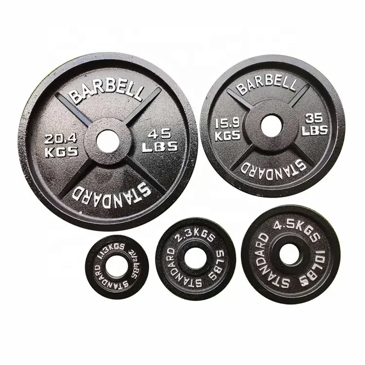 Disc Weight Gym: The Complete Guide to Choosing and Using Cast Iron ...