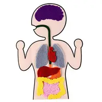Body Parts Teaching Aids Children Anatomy Human Body Organs Science Home School Teaching Aids Educational Insights Toys 1