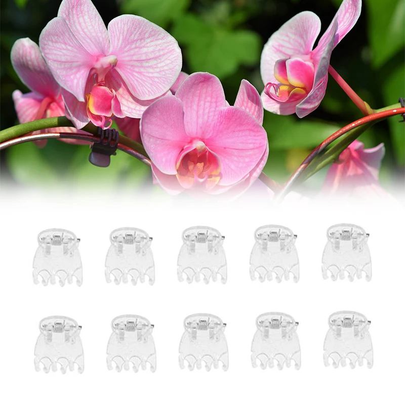 Transparent 6 Claws Orchid Clips Plastic Butterfly Flowers Support Clear Fixer For Garden Vine Stem Plants Climbing 50Pcs
