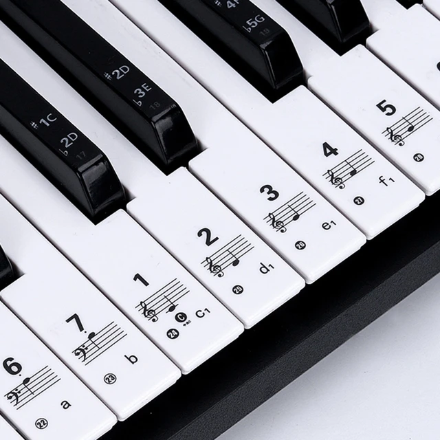 61/88 teclas de teclado de piano adesivos de silicone removível teclas de  piano etiquetas de nota para iniciantes conjunto completo piano espectro  adesivos - AliExpress