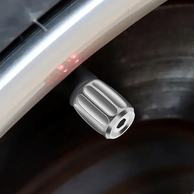 Рисунок 5 - Противоугонный протектор воздушного