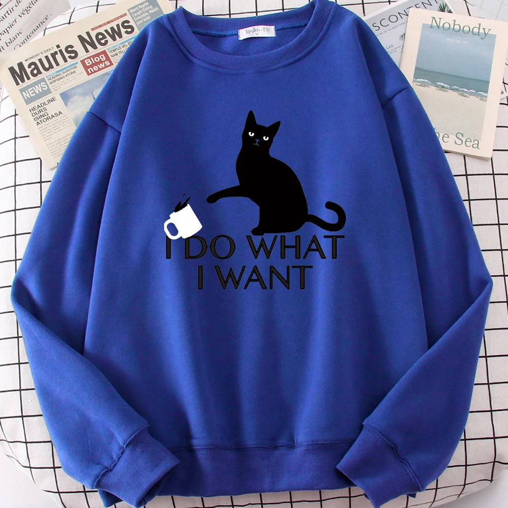 

Свитшот мужской флисовый с круглым вырезом и надписью «I Do What I Want»