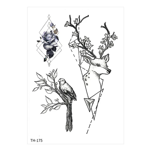 Image 17