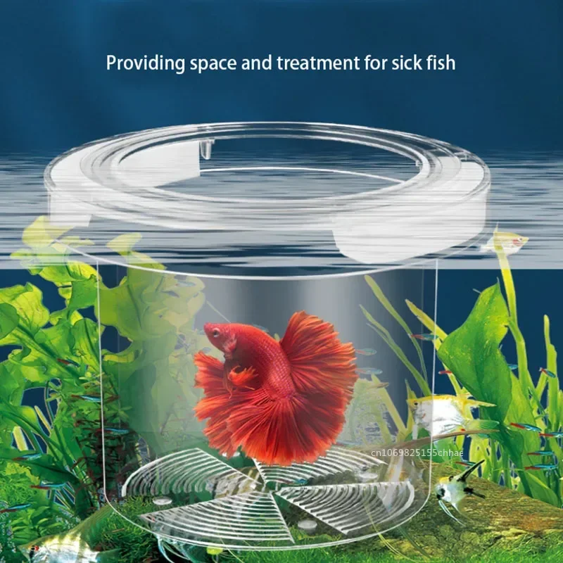 Acrylic Floating Fish Breeding Isolation Box Round Aquarium Breeder Feeder Fish Tank Hatching Incubator Aquarium Hatchery Tools