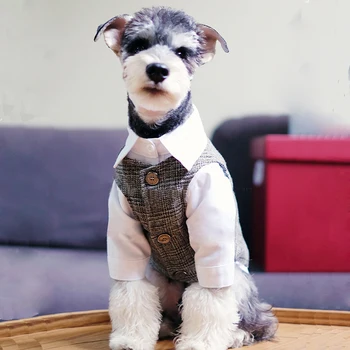 British Plaid Dog Suit 1