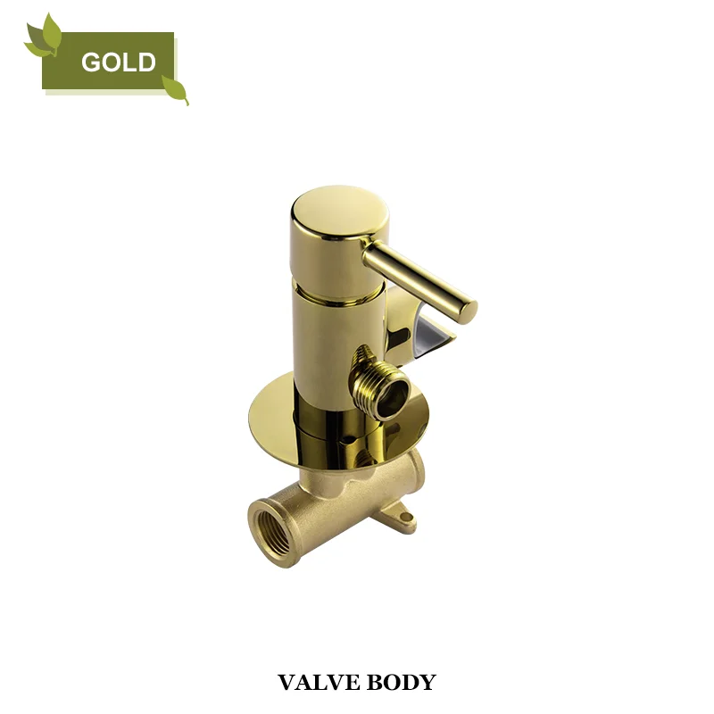 Gold Valve Body
