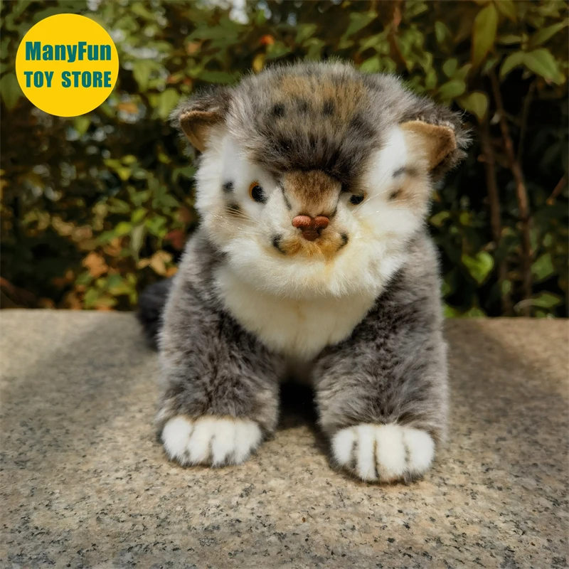 Lifelike Pallas's Cat Plush Toy Realistic Manul Stuffed Animal