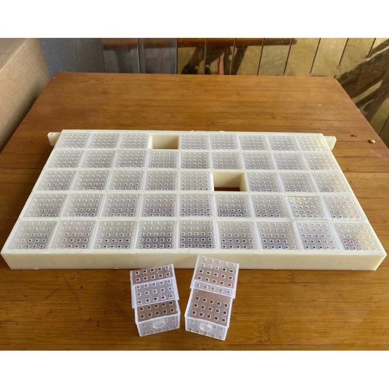 Multifunctional Plastic Queen Storage Device Cage Box for Queen Rearing Breeding Anti Escaping Beekeeping Tools