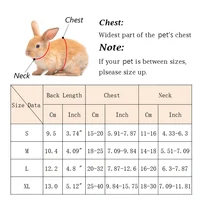 Breathable Mesh Rabbit Harness & Leash