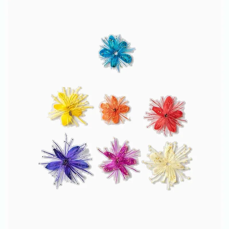 

12/24/36PCS,1.5~2.5CM Natural Dried Pressed White Sandalwood Flowers Heads,Dry Flower Press For Craft Resin Jewellery,Candles