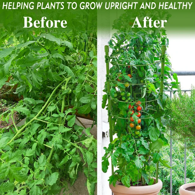 90cm Adjustable Tomato Cage 36 inches Plant Support Cages Cucumber Trellis for Climbing Plants 4 Adjustable Rings and Plant Clip 4