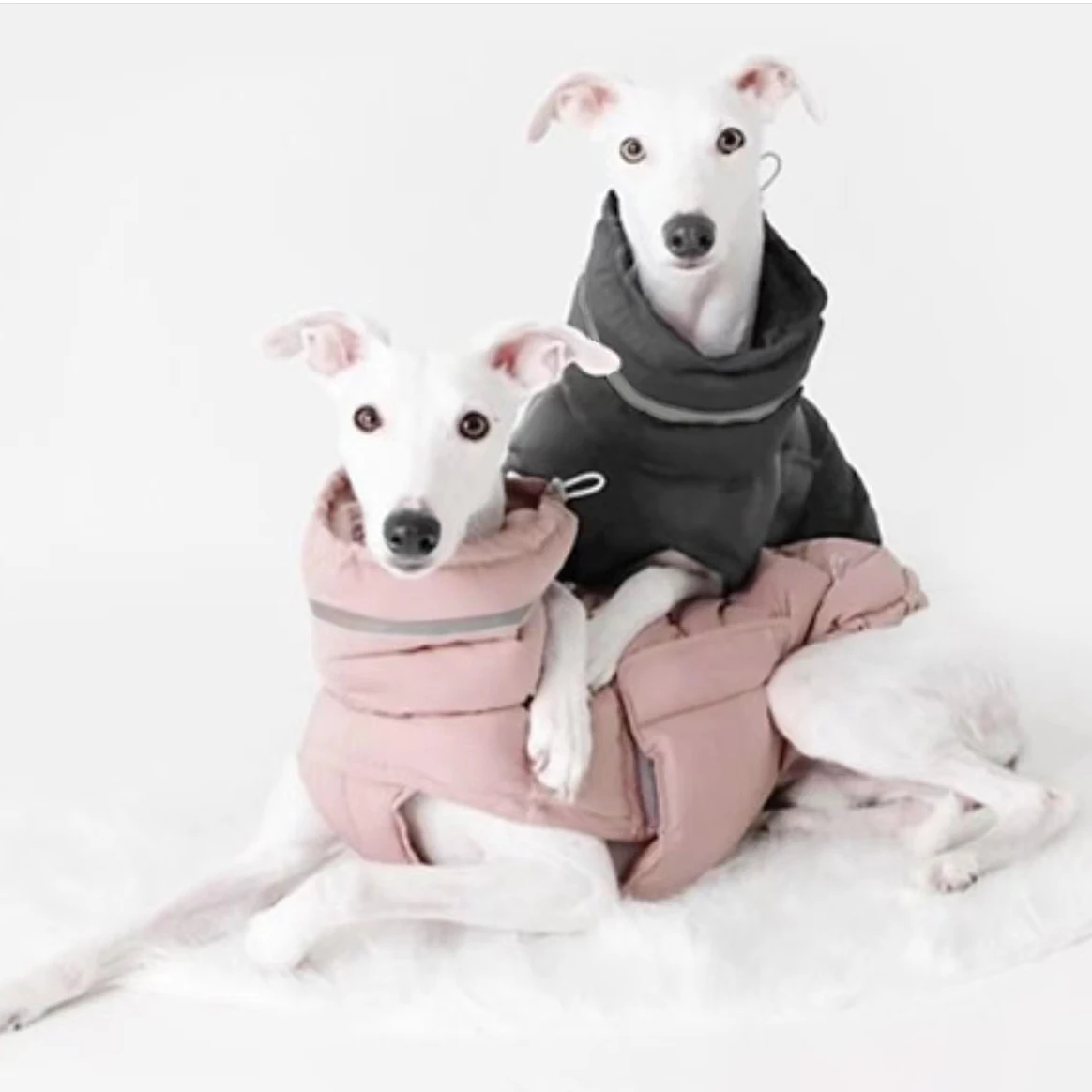 Warm Windproof/ Waterproof Dog Parkas 4