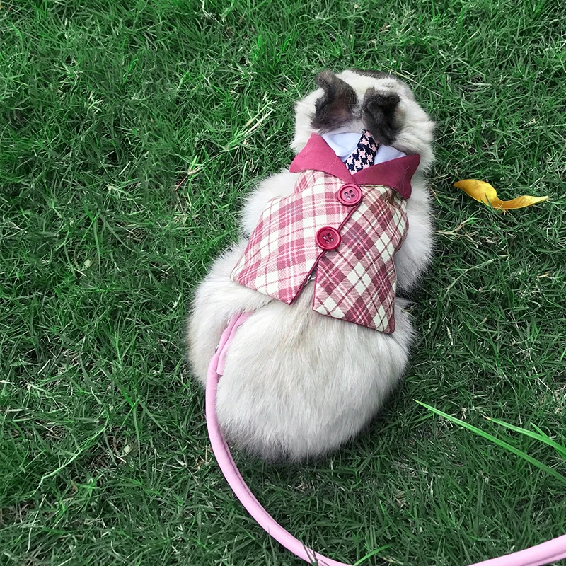 Pet Rabbit Academy Wind Lead Rope Little Bunny Tie Bow Dress Little Pet Leash Clothes Outdoor Activity Traction Rabbit Stuff