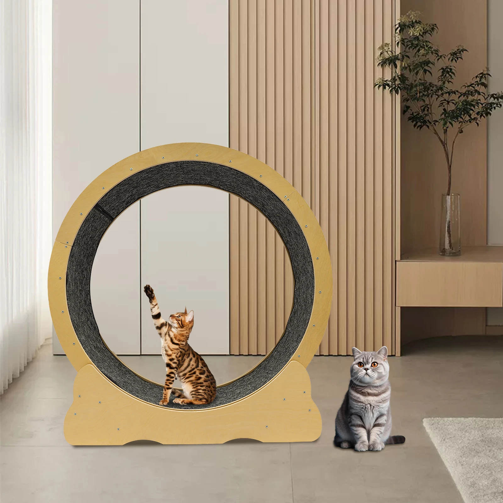 Cat Exercise Wheel, Running Wheel for Indoor Cats, Cat Hamster Wheels,Cat Gifts for Lovers,Health, Loss Weight