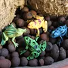 12pcs Mini Frogs,1 Grass and 1 stone Toy Set Small Realistic Frog Toy Decorations Frogs Rain Forest Lifelike Art Lawn decoration 2