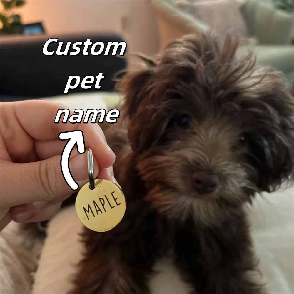 Engraved Pet Id Tag 3