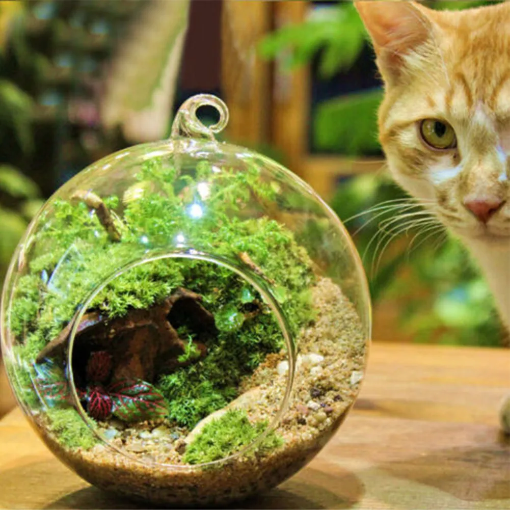 Hanging Glass Ball Garden Home Decoration Flat Bottom Flower Indoor Ornament Party Plant Pots Tealights Terrarium 5
