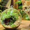 Hanging Glass Ball Garden Home Decoration Flat Bottom Flower Indoor Ornament Party Plant Pots Tealights Terrarium 5
