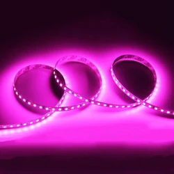 High Brightness Flexible LED Strip Light - Multiple Lengths and Color Options Available (5m)
