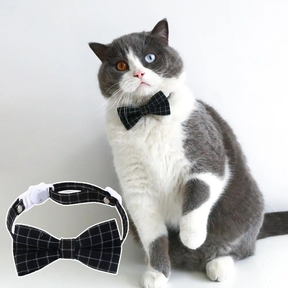 Pet Headband Felt Cat Graduation Headdress Hair Hoop Collar Ornament Tassel Design No Odor Cat Hair Hoop Pet Accessories