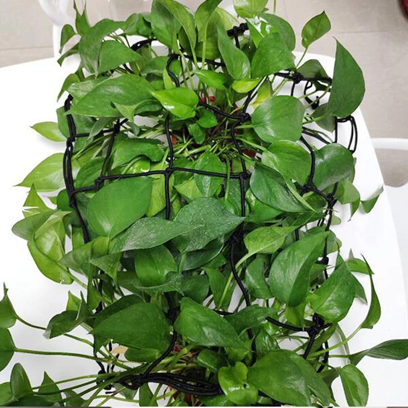 Plants Climbing Net Pressing Net Pressed Branch Web Uniform Light-receiving Plastic Polyester Bag Supporting Equipment