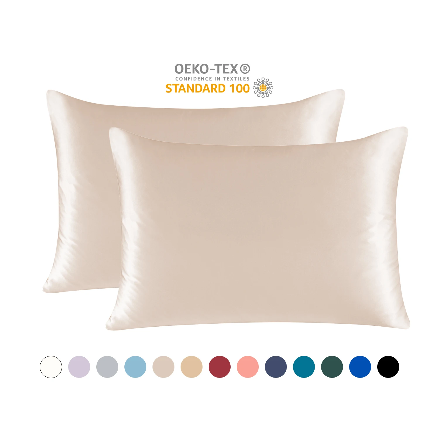 100% Natural Mulberry Silk Pillow Case,22 Momme Silk Pillow Cover, Front in Real Silk & Back in Lenzing Tencel Fabric, 1 Pack