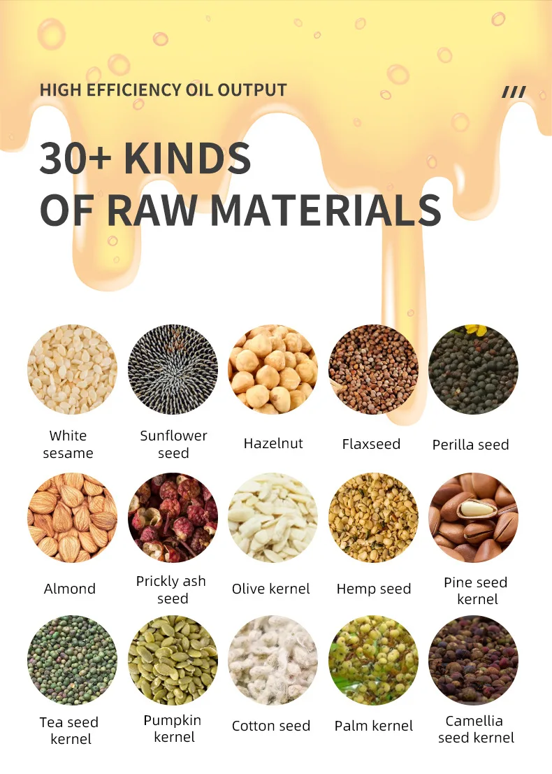 B01 Household Oil Press machine Intelligent Cold Press Peanut Flax Seed Walnut Oil Extractor Presser 4