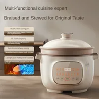 220V 5L Smart Multi Cooker with Ceramic Inner Pot, Perfect for Stews, Soups, and Roasts Household Slow Stewer 1