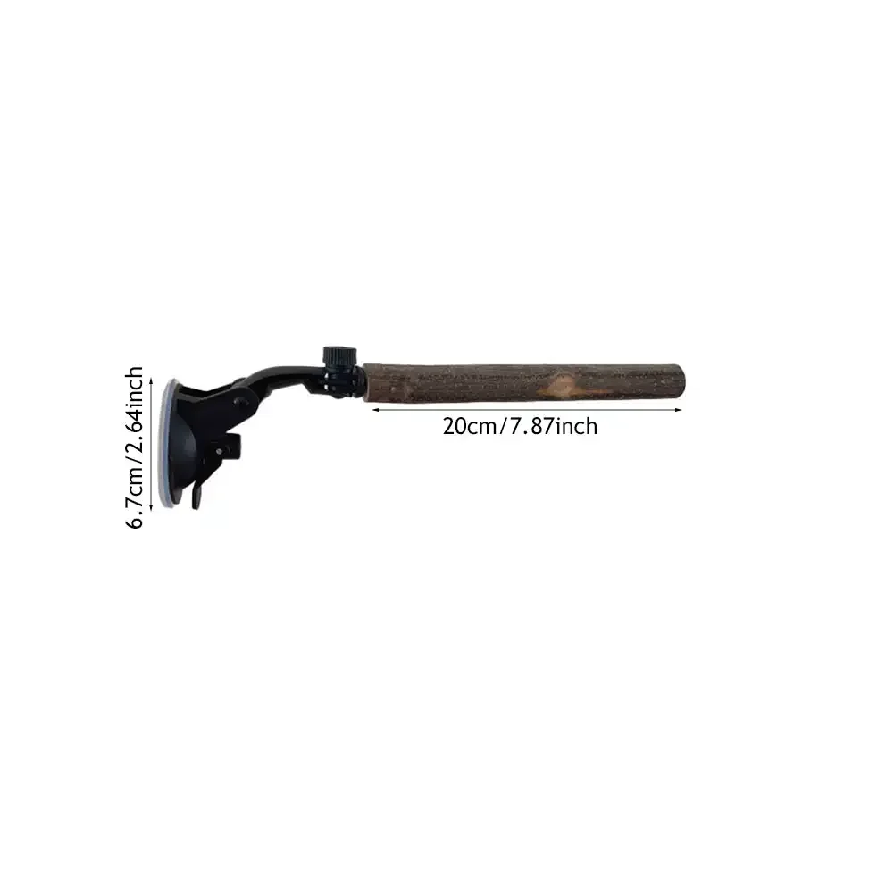 20cm