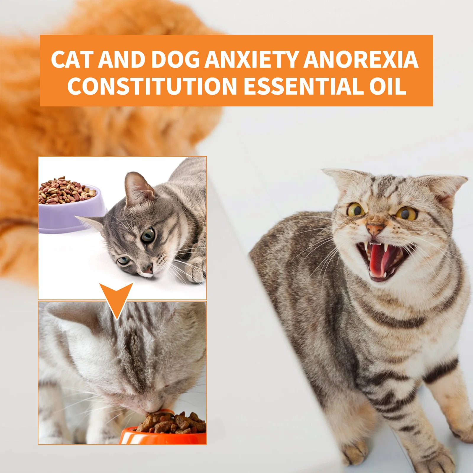 Hemp Seed Oil for Body Care, Pet Care Essence, Cat and Dog Food Supplement, Strengthening Oil