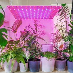 LED Plant Grow Light 1000W/2000W Full Spectrum Hydroponic Growing Lamp Plants Phyto Veg Flower Indoor Ultrathin Panel Phytolamp