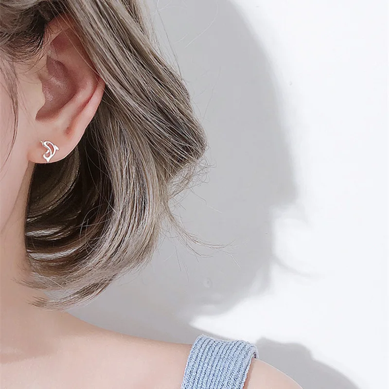 S925 Orecchini D'Argento Moda Coreana da Donna Orecchini ad Anello