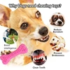 1PC Pet Chew Toy Soft Rubber Bite-resistance Bone Shape Teeth Grinding Chewing Toys for Small Dogs Training Pet Supplies Brush 3