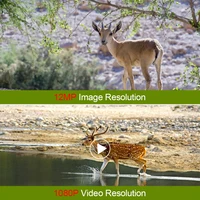 Mini Trail Game Camera Night Vision 1080P 12MP Waterproof Hunting Camera Outdoor Wild photo traps with IR LEDS Range Up To 65ft - Image 5