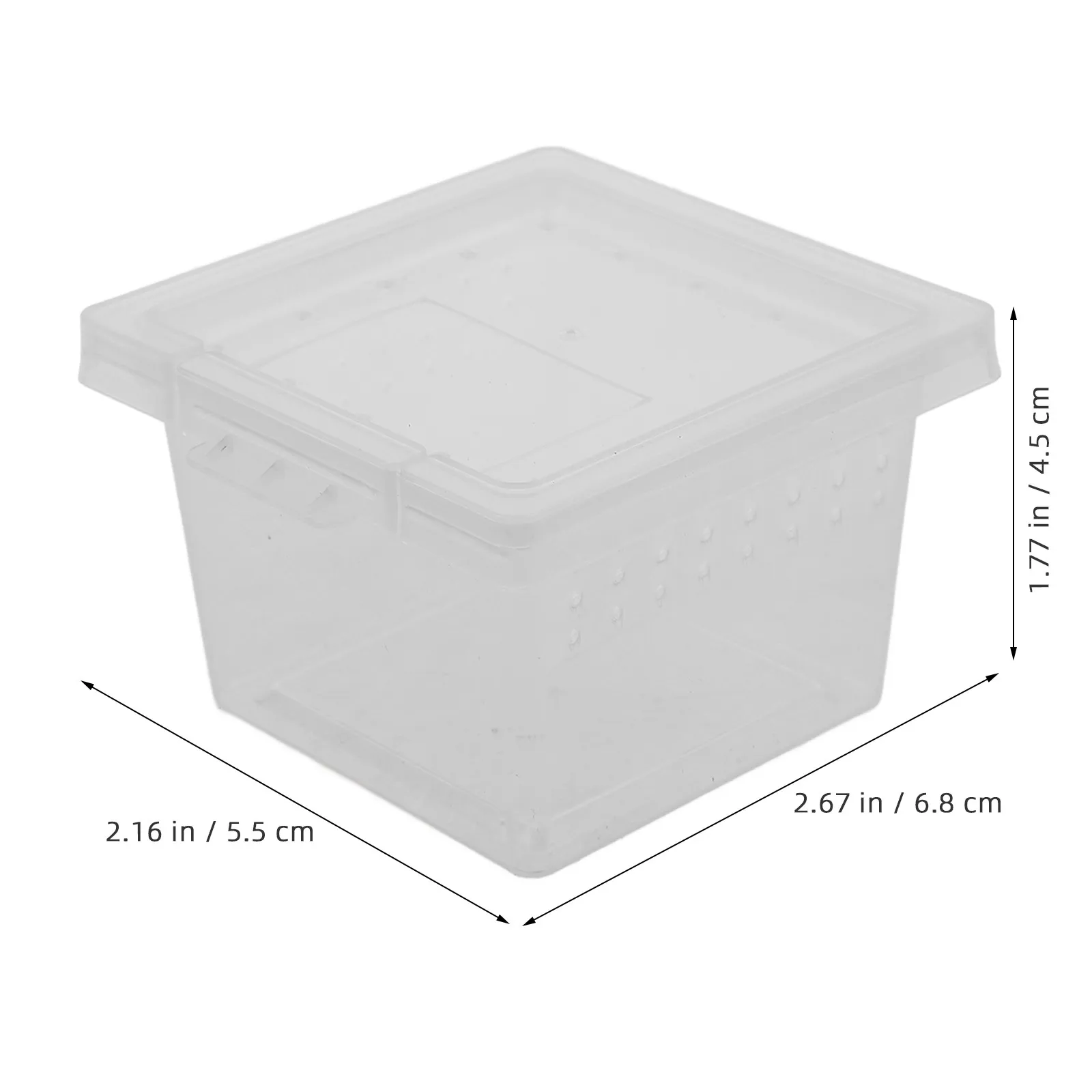 100Pcs 곤충 사육 상자 타란툴라, 개구리벌레, 달팽이, 사마귀, 파충류 사육 상자를 위한 프리미엄 PP 투명 먹이 공급 용기