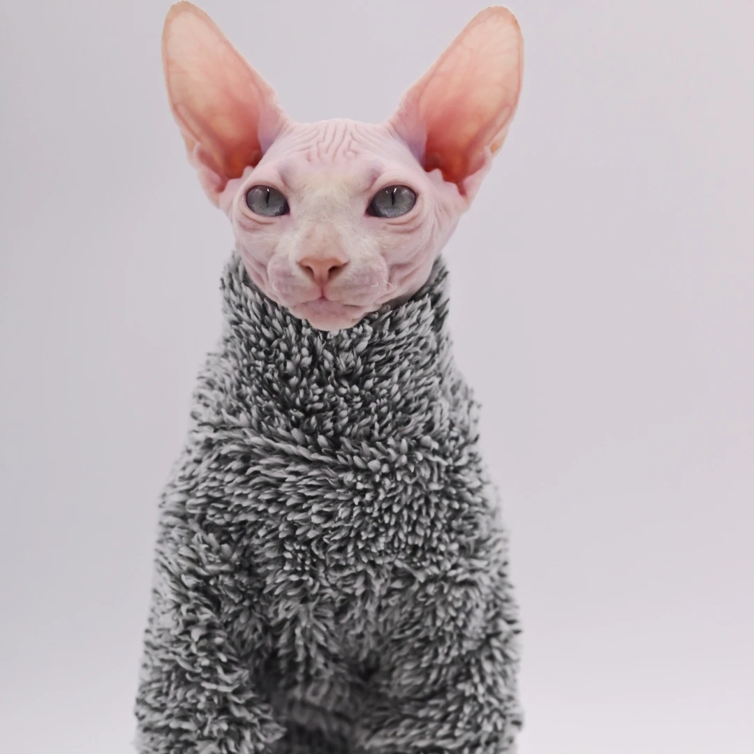 DUOMASUMI Super Cool Cat Outfits  Autumn Winter Warm Wearing Hairless Cat Apparel Clothing Sphynx Cat Clothes