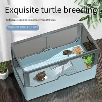 Water-Free Turtle Tank 1