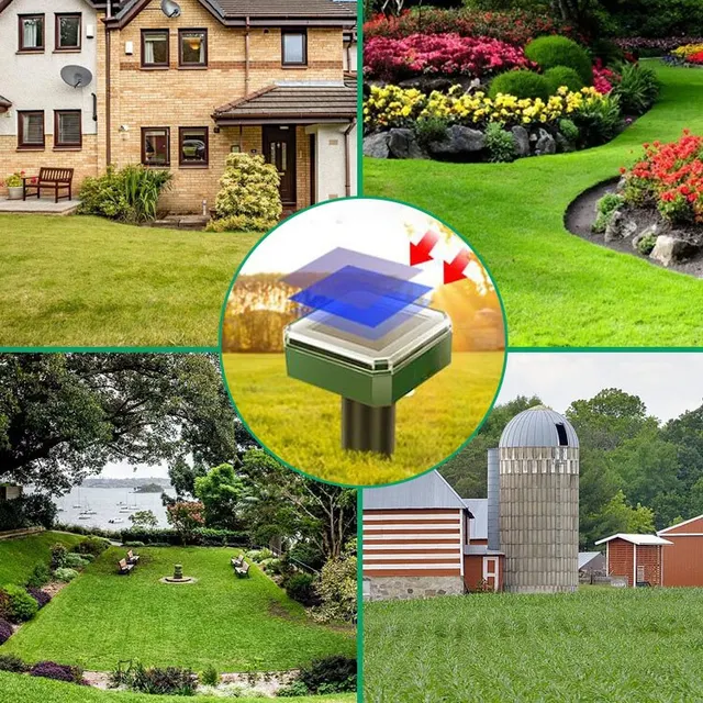 313 Pest Visszaszorító - Image 4