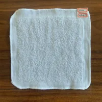 Hot sell wholesale Kindergarten pure cotton children's square towel white small towel 20*20cm household wipes 10pcs 6