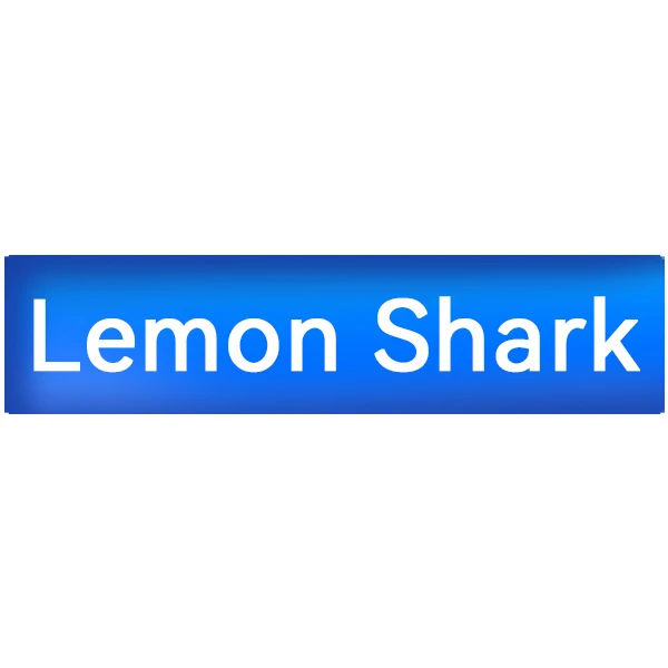 Lemon Shark Car Radio Global Store