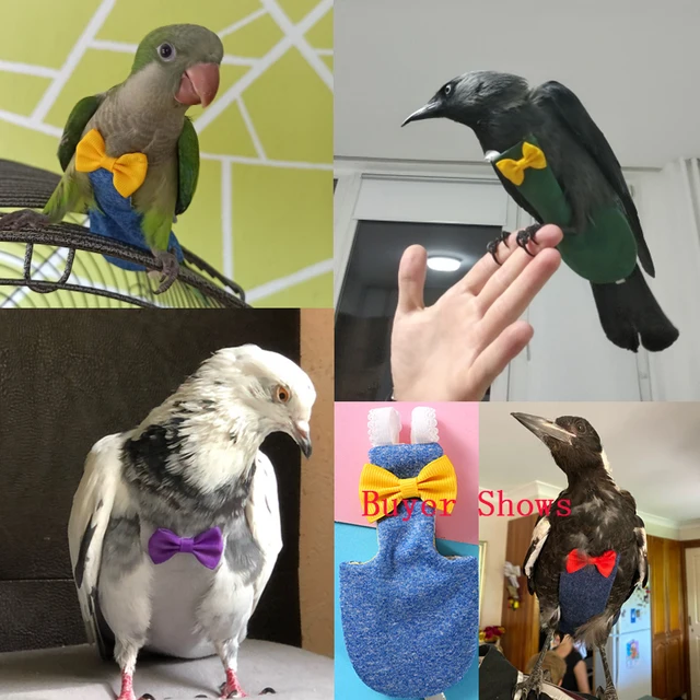 Parrot Pigeon Diaper Flight Suit Bird Nappy Parrot Clothes for Green Cheek Parakeet Cockatiel Conure Small Medium Large Birds 4
