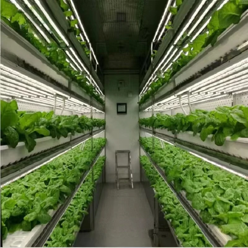รูปสินค้า ระบบฟาร์มไฮโดรโปนิกส์ในตู้คอนเทนเนอร์ Smart Container Farm
