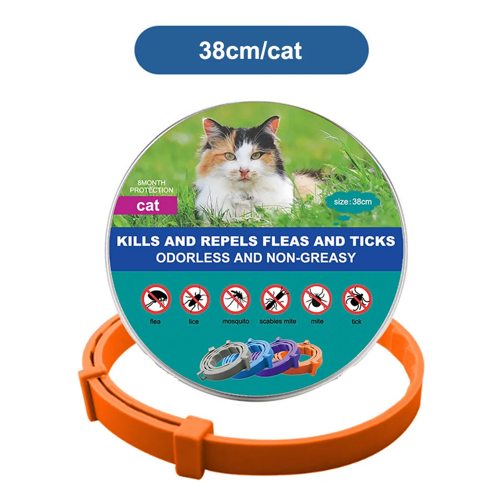 orange (cats)