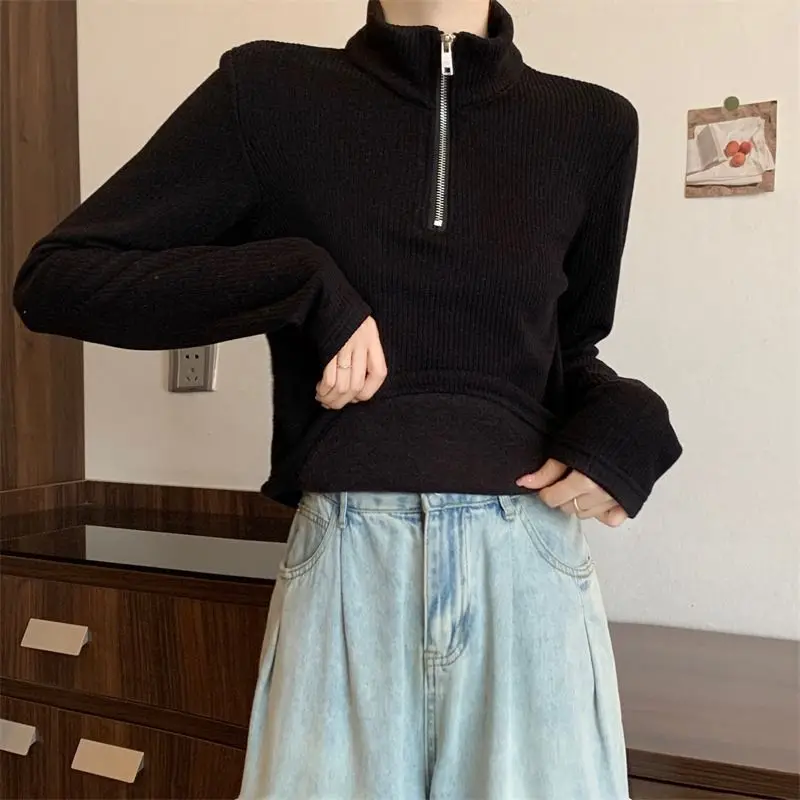 Frauen Rollkragen Neue Herbst Winter Pullover Basis Wärme Dicke Lose Lange-ärmeln Top – Detail 11