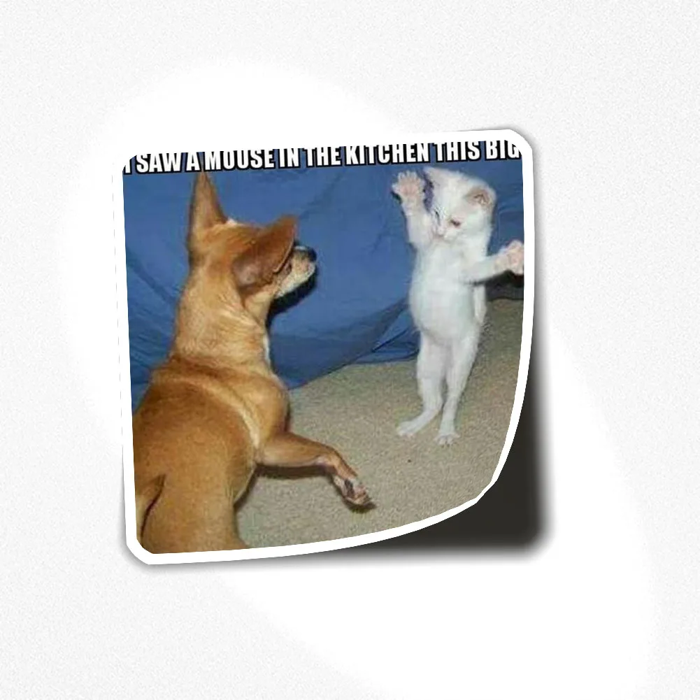 

DOG MEME STICKER 014 Sticker for Laptop Decor Bedroom Car Cute Cartoon Art Fashionable Public Suitcase