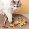 Catnip Balls for Cats: Healthy, Interactive Toys 5