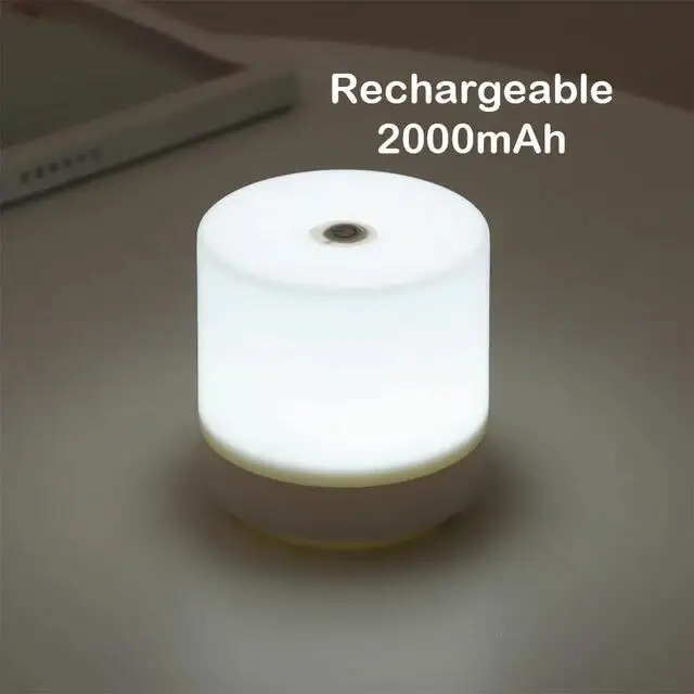 Rechargeable